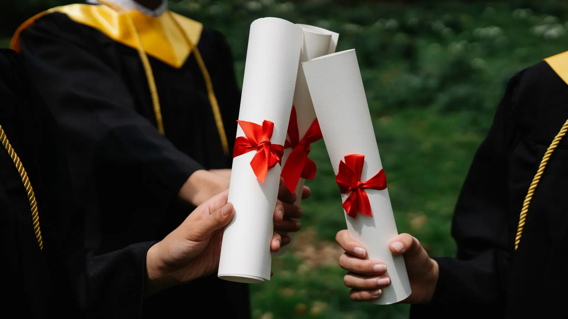 Dual degree students and academic pathways
